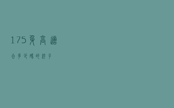 175身高适合多少码的裤子