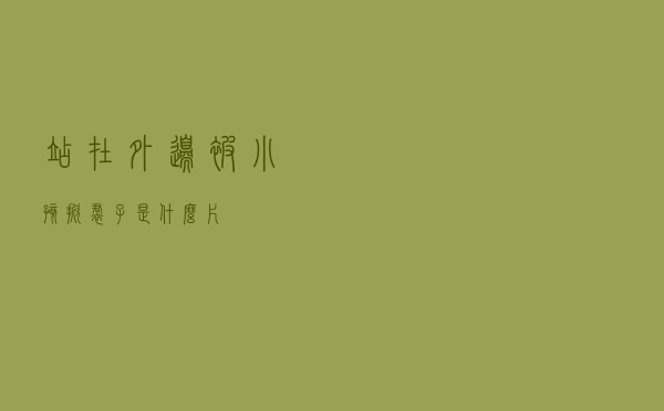 站在外边被小孩掀裙子是什么片