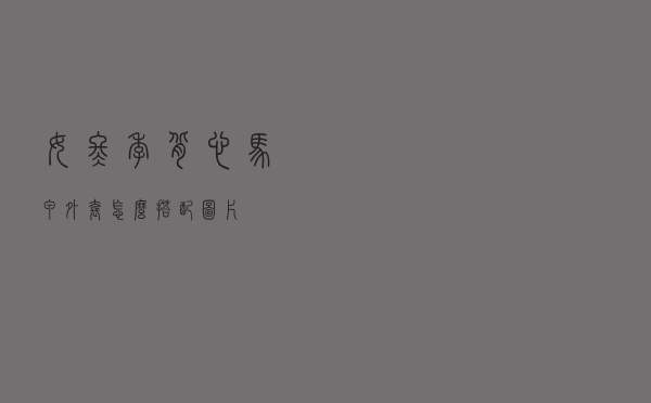 女冬季背心马甲外套怎么搭配图片