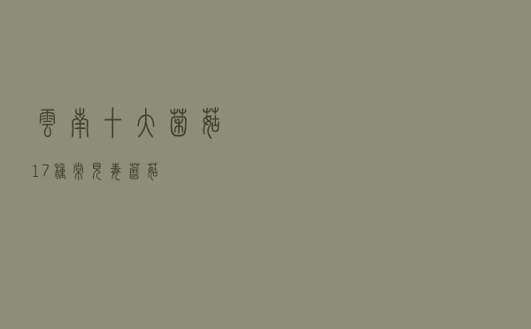 云南十大菌菇，17种常见毒蘑菇
