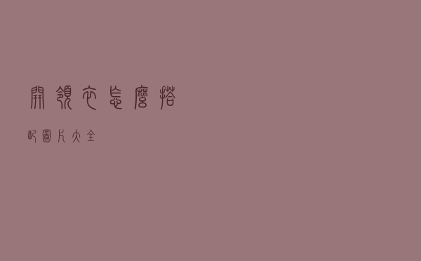 开领衣怎么搭配图片大全