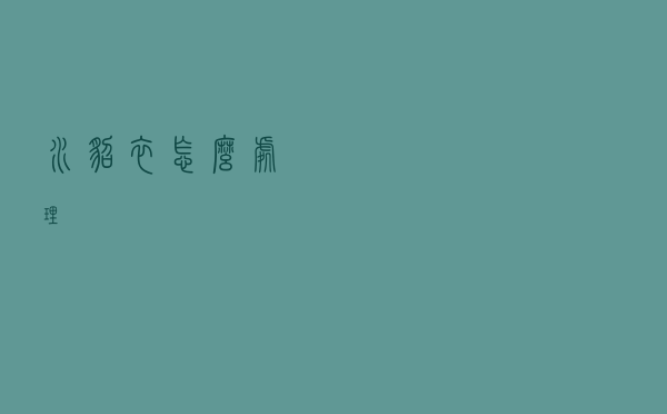 水貂衣怎么处理