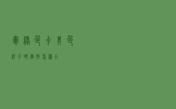 军绿色卡其色裤子哪个好看图片