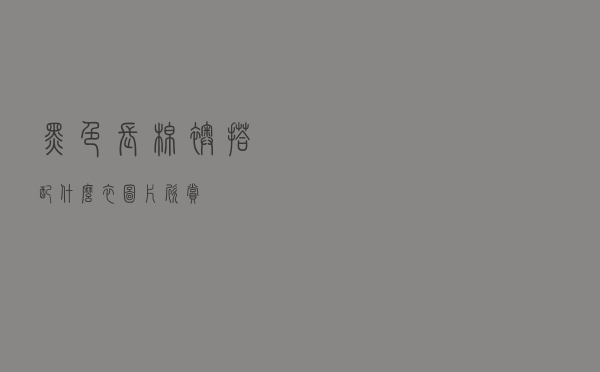 黑色长棉袄搭配什么衣图片欣赏