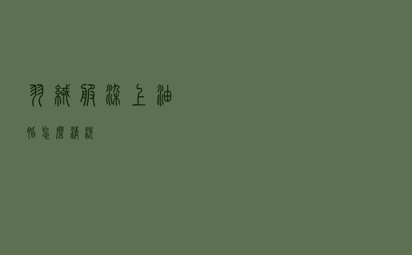 羽绒服染上油脂怎么清洗