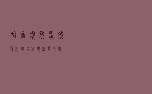 哈尔滨透笼批发市场，哈尔滨批发市场