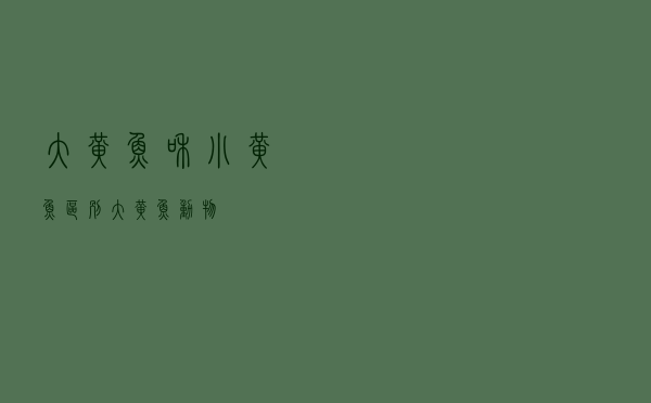 大黄鱼和小黄鱼区别_大黄鱼 动物