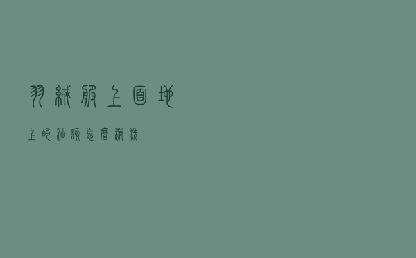 羽绒服上面地上的油该怎么清洗