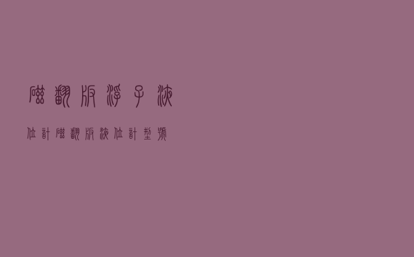 磁翻板浮子液位计（磁翻板液位计型号）