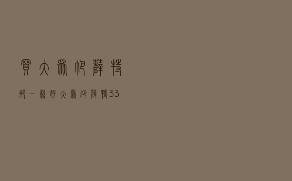 买大众帕萨特那一款好 「大众帕萨特330图片」