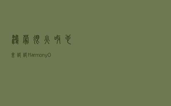 鸿蒙很火呀，也来试试HarmonyOS开发