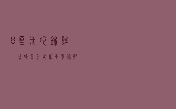 8厘米的锦鲤一次喂食多少（新手养锦鲤鱼知识大全）