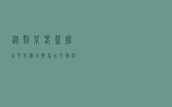 从刘某春盗掘古文化遗址案看古文物保护