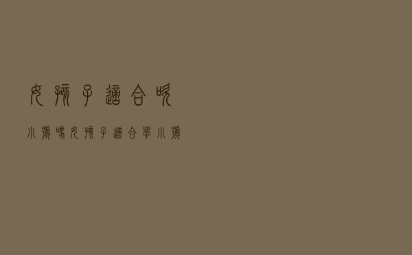 女孩子适合吹小号吗 「女孩子适合学小号吗」