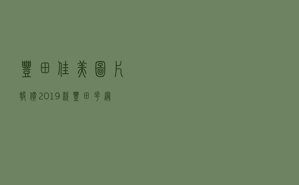 丰田佳美图片报价（2019款丰田花冠图片）