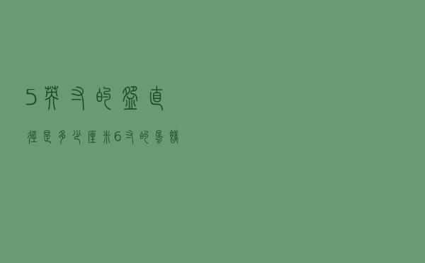 5英寸的碗直径是多少厘米（6寸的蛋糕多大图片）