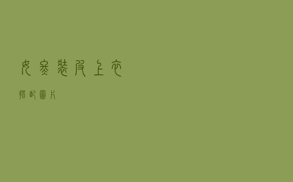 女冬装皮上衣搭配图片