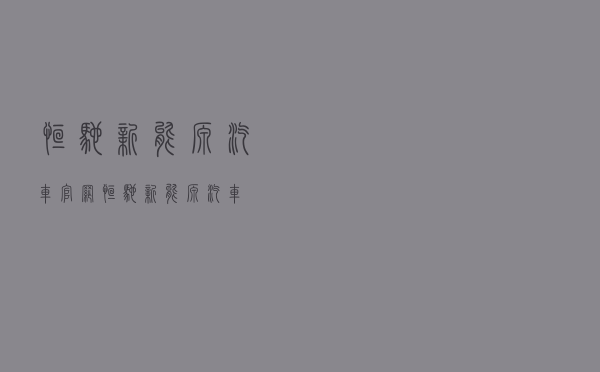 恒驰新能源汽车官网「恒驰新能源汽车」