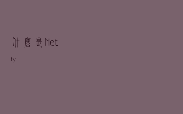 什么是Netty？