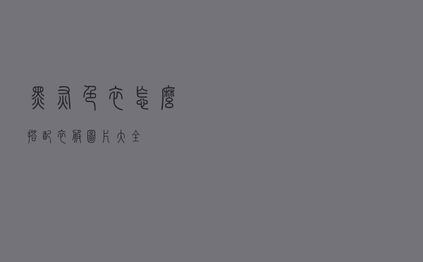 黑灰色衣怎么搭配衣服图片大全