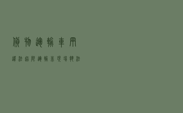 货物运输车辆违法超限运输非现场执法以案释法