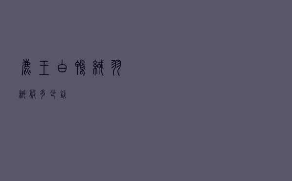 鹿王白鸭绒羽绒服多少钱