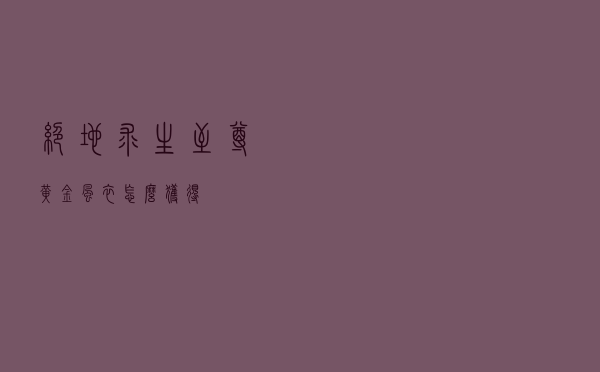 绝地求生至尊黄金风衣怎么获得