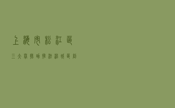 上海市松江区三大举措助推法治城区创建