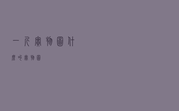一斤实物图（什么叫实物图）
