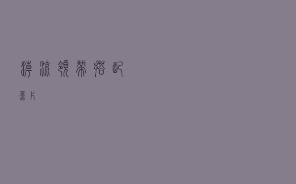 潮流领带搭配图片