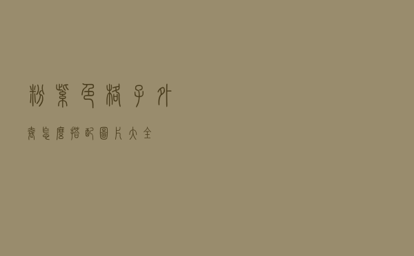 粉紫色格子外套怎么搭配图片大全