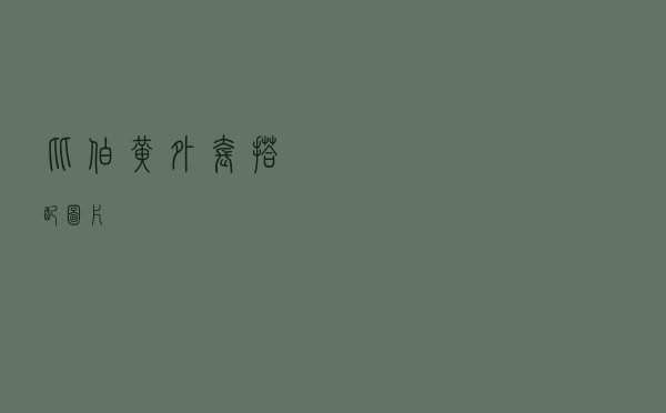 比伯黄外套搭配图片
