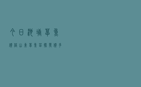 今日池塘草鱼价格山东「草鱼苗批发价多少钱一斤」