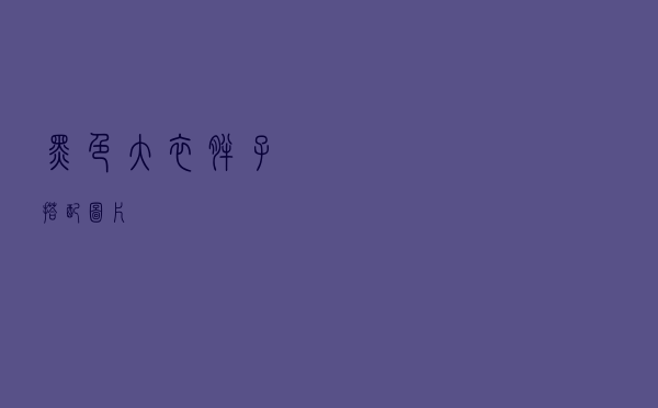 黑色大衣胖子搭配图片
