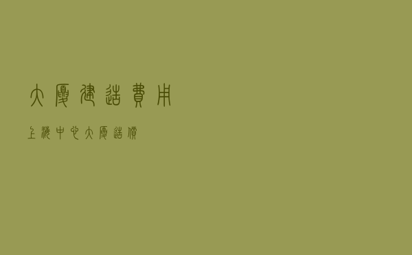 大厦建造费用（上海中心大厦造价）