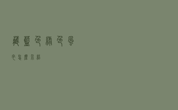 藏蓝色绿色风衣怎么介绍