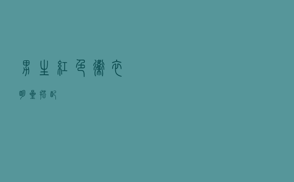 男生红色卫衣明星搭配