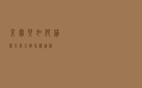 京宝贝如何贷款 - 京东金融怎样贷款