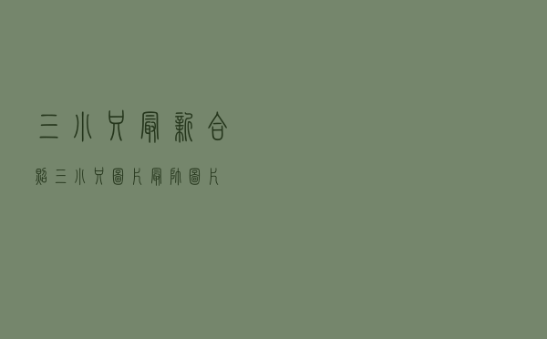 三小只最新合照（三小只图片最帅图片）