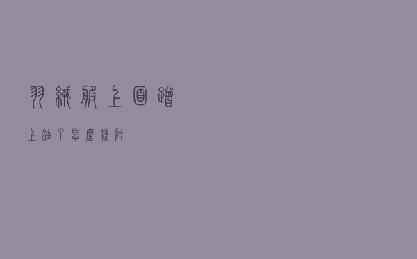 羽绒服上面蹭上油了怎么洗阿