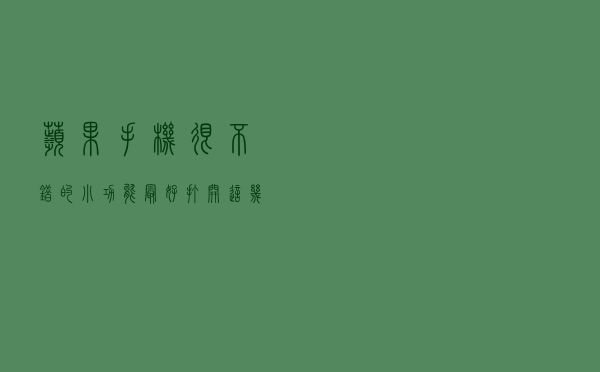 苹果手机很不错的小功能，最好打开这几个开关，差别真的很大