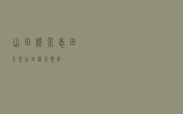 山田凉介志田未来（山田凉介壁纸）