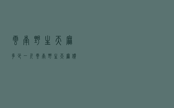 云南野生天麻多少一斤 「云南野生天麻价格」