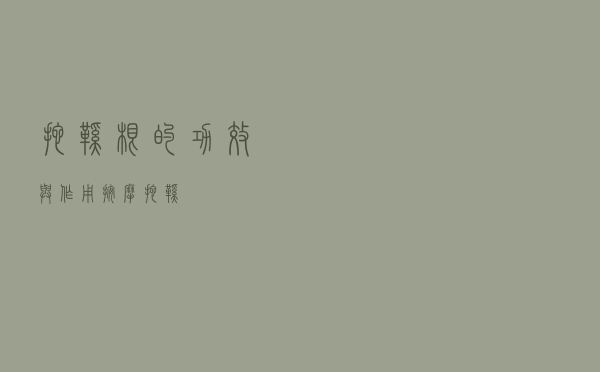 拖鞋根的功效与作用（按摩拖鞋）