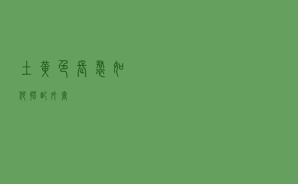 土黄色长裙如何搭配外套