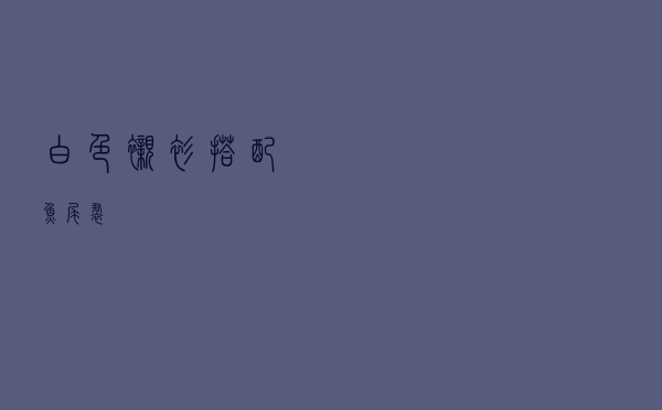 白色衬衫搭配鱼尾裙