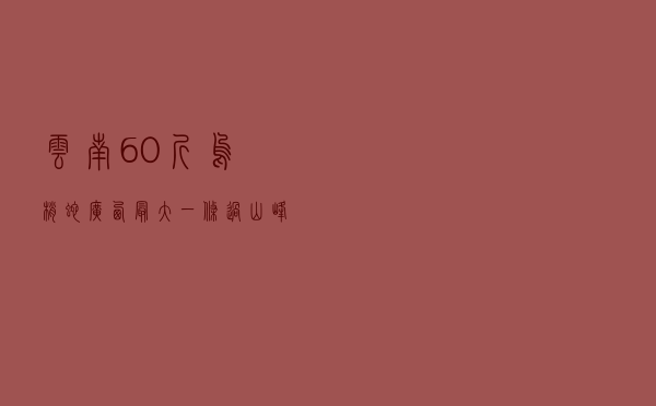 云南60斤乌梢蛇（广西最大一条过山峰蛇）