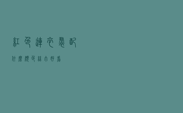 红色连衣裙配什么颜色丝巾好看