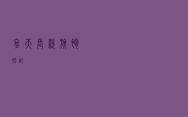 冬天长款旗袍搭配