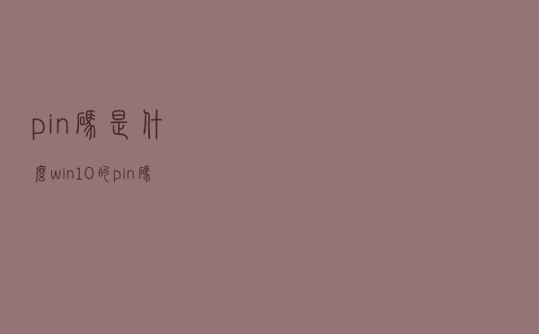 pin码是什么「win10的pin码是什么」